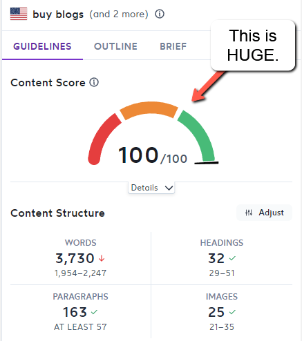 Surfer SEO Content Score of 100 for blog writing services.